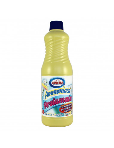 AMMONIACA CON DETERGENTE