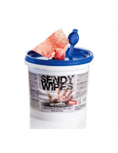 SALVIETTE LAVAMANI SENDY WIPES