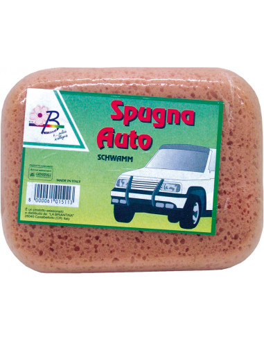 SPUGNA AUTO OVALE