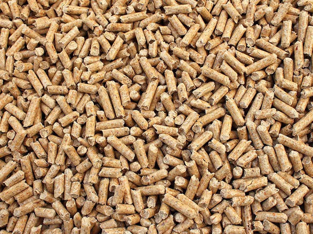 PELLETS KG 15 ABETE CERTIFICATO A1